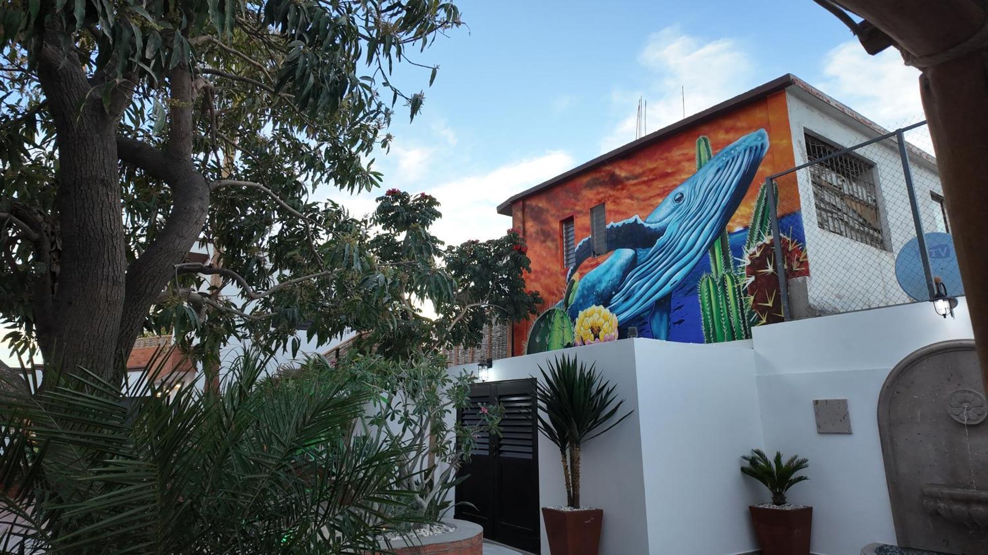 Marjor Suites La Paz Exterior photo